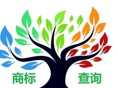 如何應(yīng)對商標(biāo)查詢盲期？